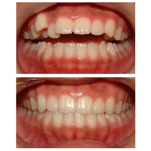 صور 2 شهین بهمنی